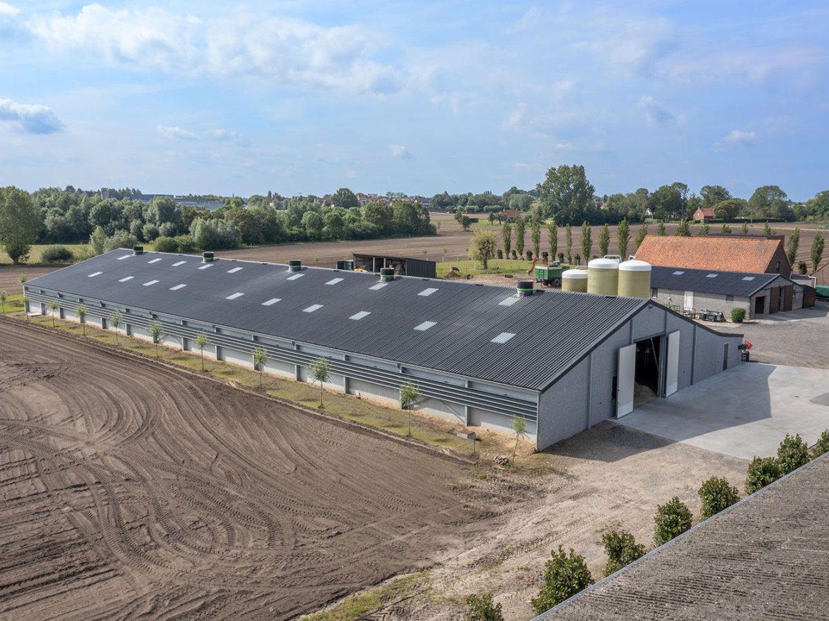 Deseyn-anzegem